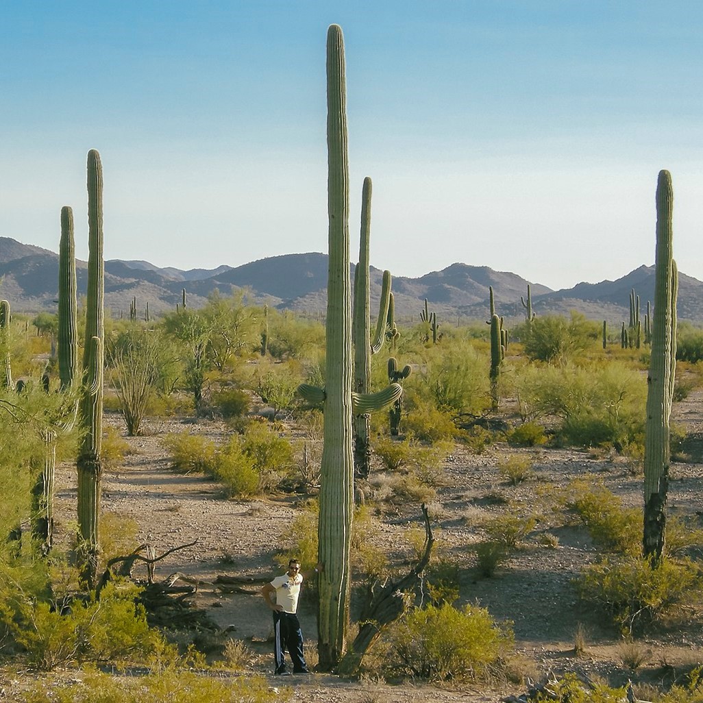 Patagonia cactusflats 2025